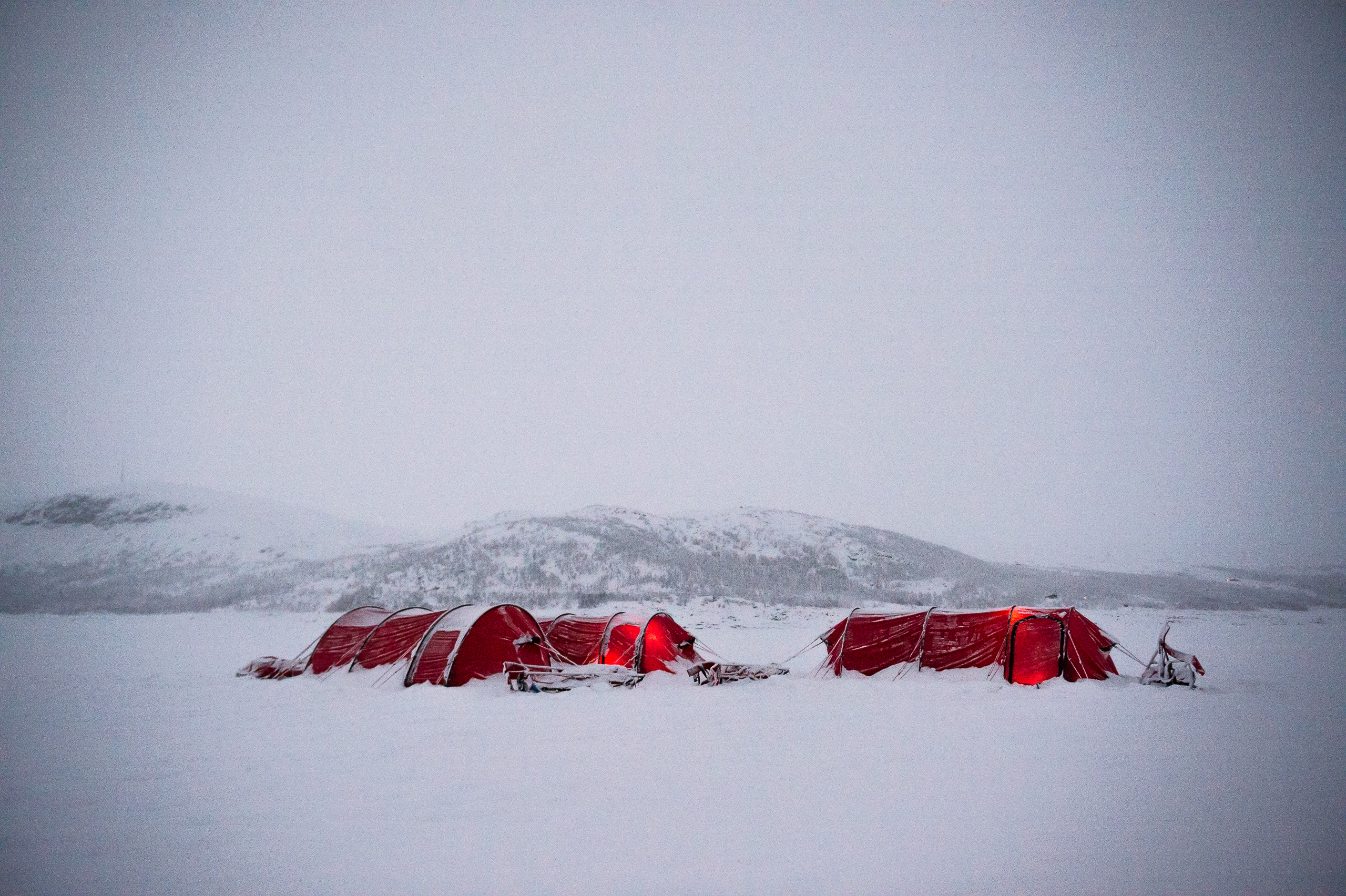 Ex Ice Maiden Tents