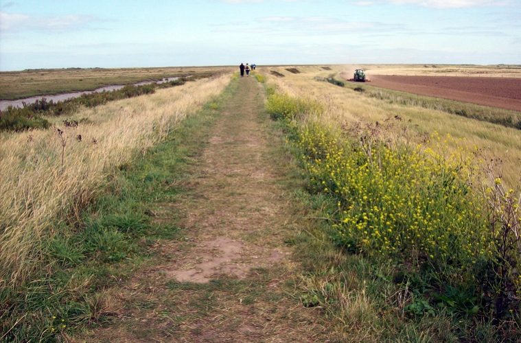 Walk | Blakeney Point