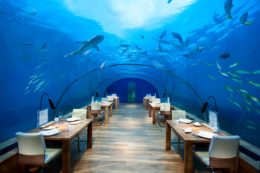 Conrad Maldives Rangali Island Resort Ithaa Underwater Restaurant