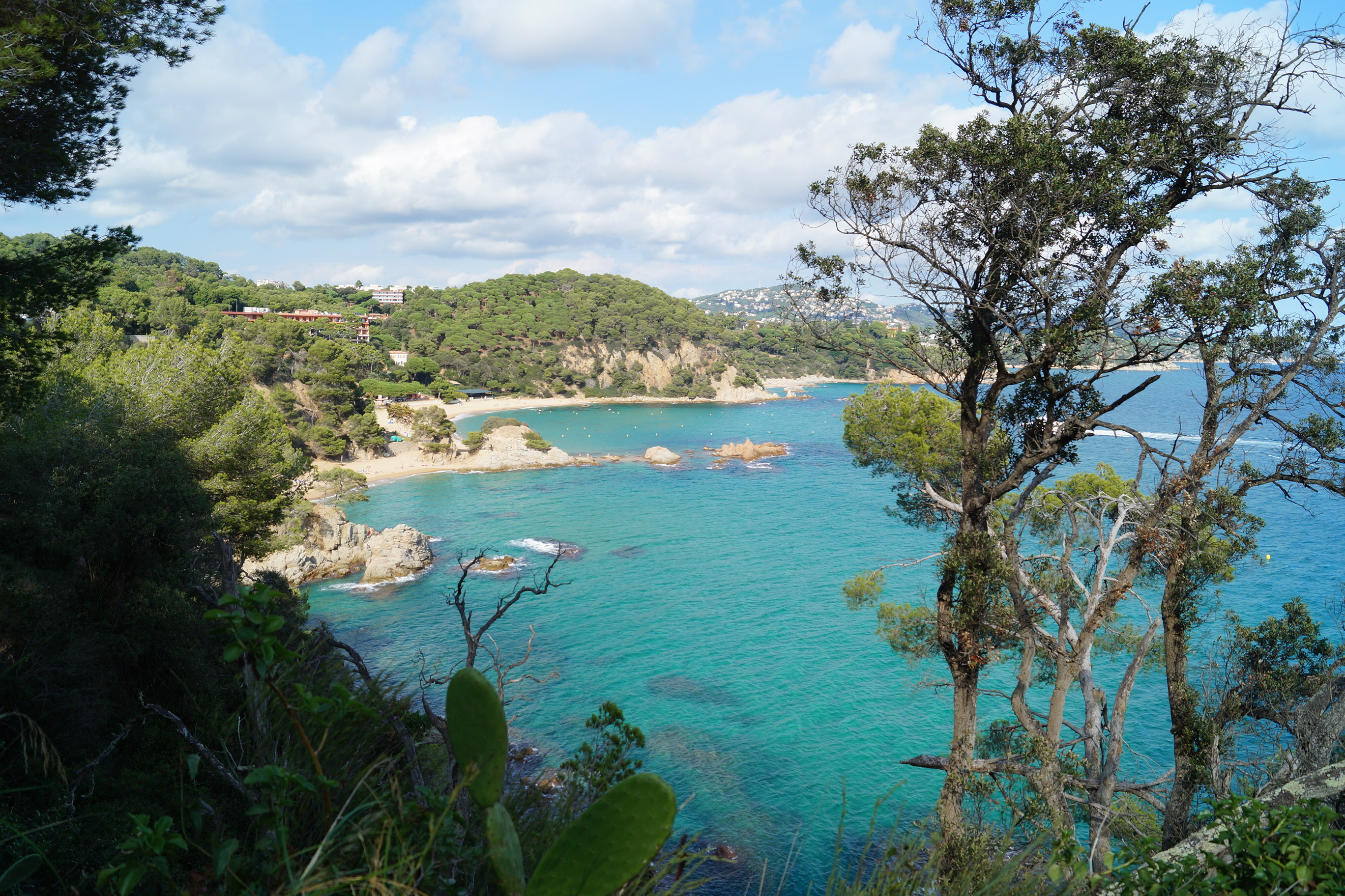 Camino de Ronda