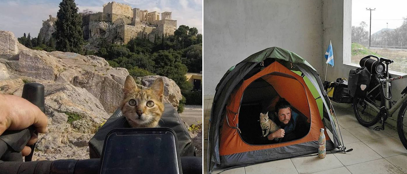 Travel Pocket Guide Man Saves Kitten Nala And They Now Travel