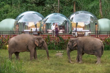 Anantara Golden Triangle Elephant Camp Resort