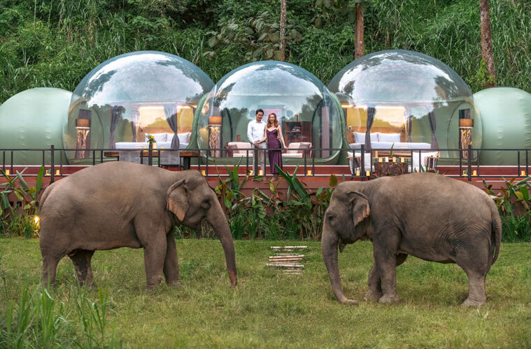 Anantara Golden Triangle Elephant Camp Resort