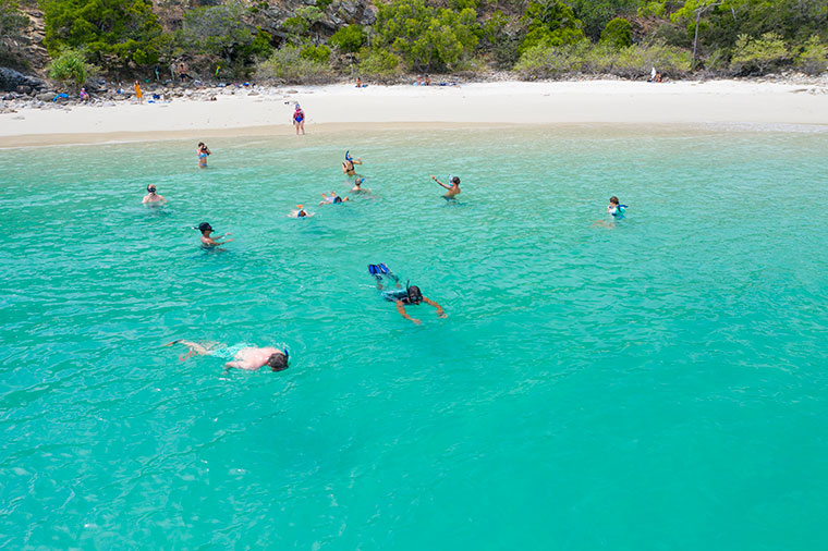 Great Kepple Snorkeling