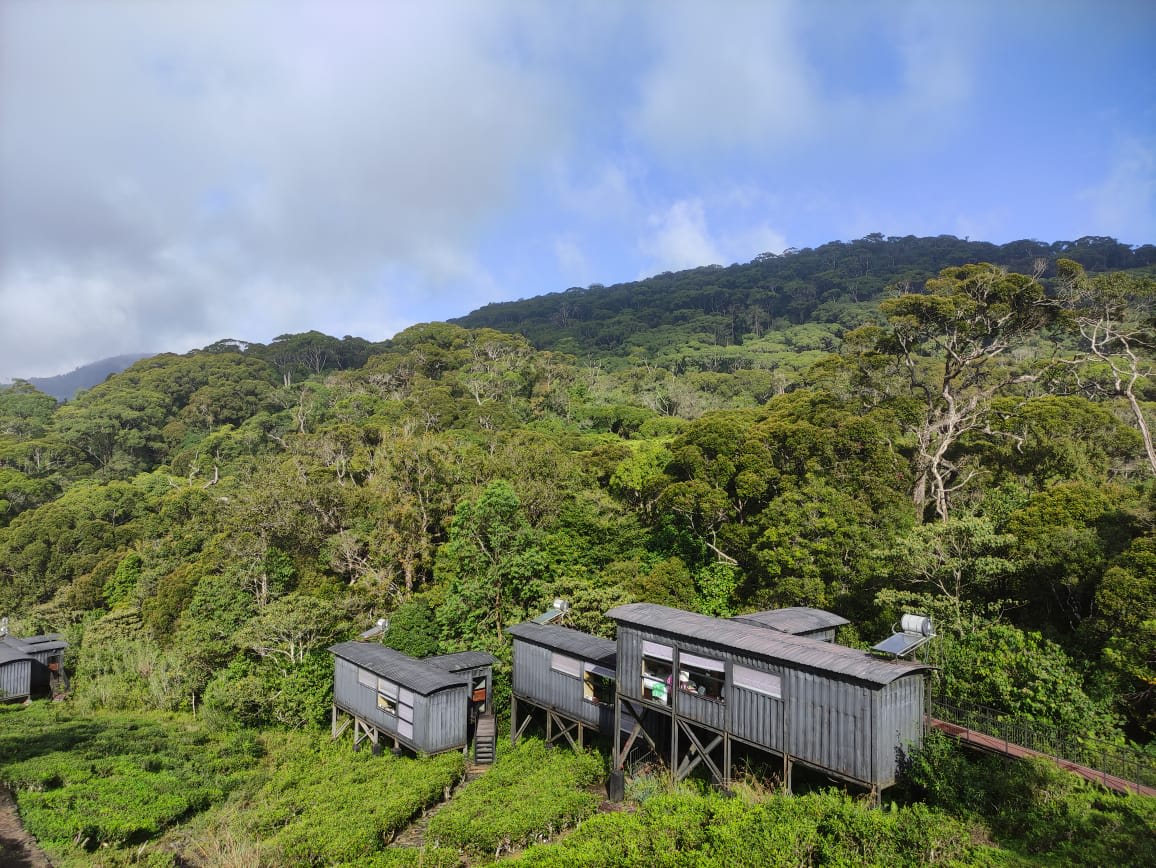 Rainforest EcoLodge Sinharaja Review