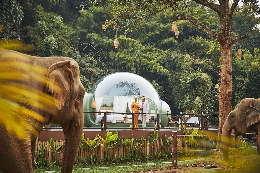 Anantara Golden Triangle Elephant Camp Resort