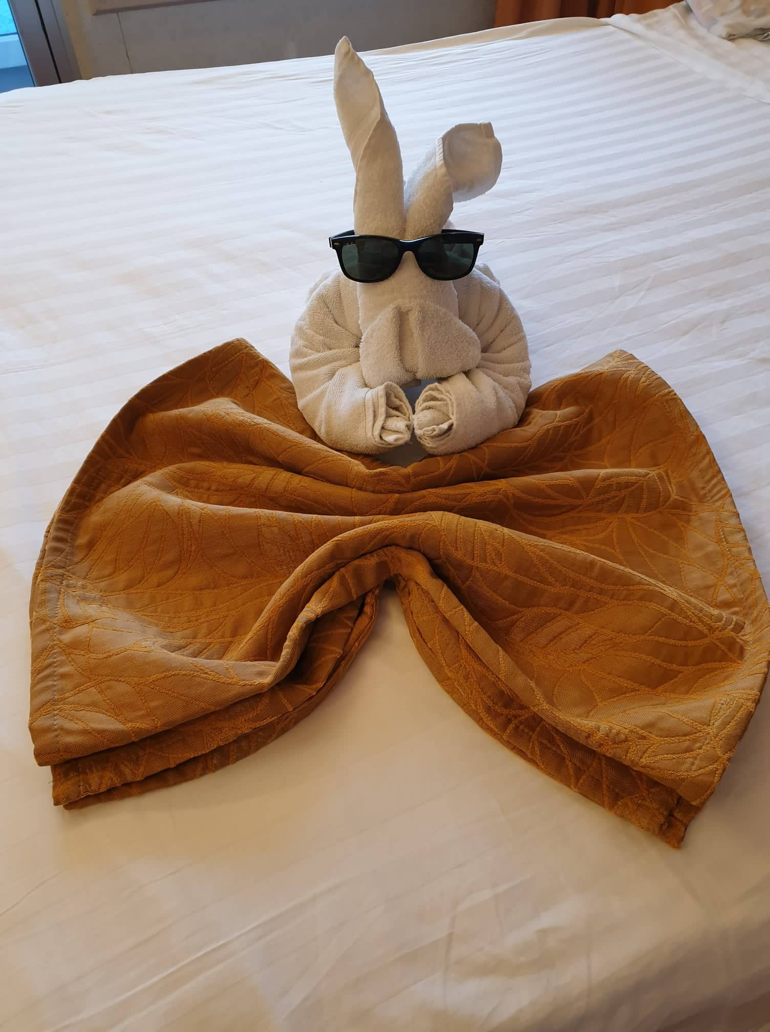 Cruise Towel in cabin