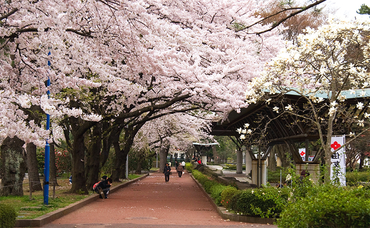 Tokyo