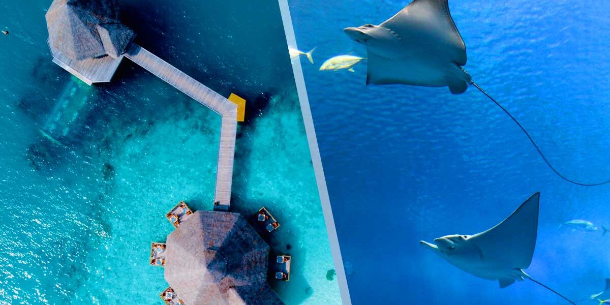 Best Underwater Hotels