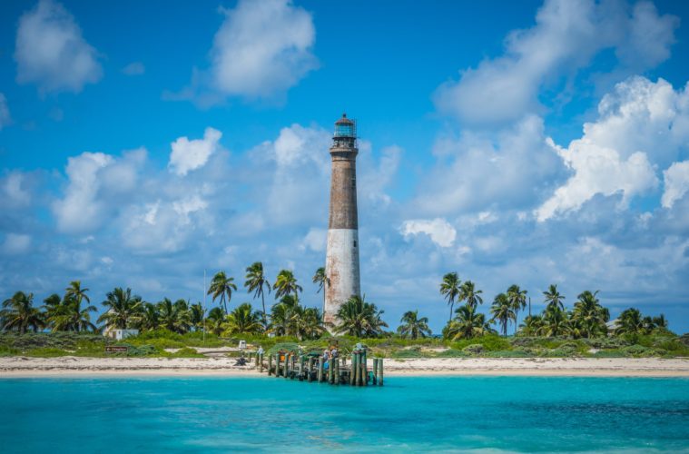 Day trip snorkelling in Dry Tortugas National Park