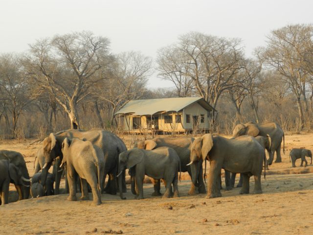 vintage safari camp