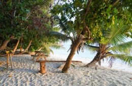 10 Best Places to Visit in Seychelles: Anse Source d'Argent - La Digue Island
