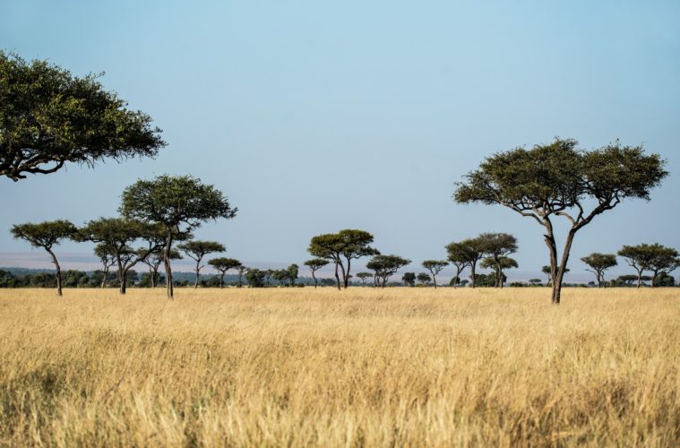 Sanctuary Saadani Safari Lodge, Tanzania adventure in Africa