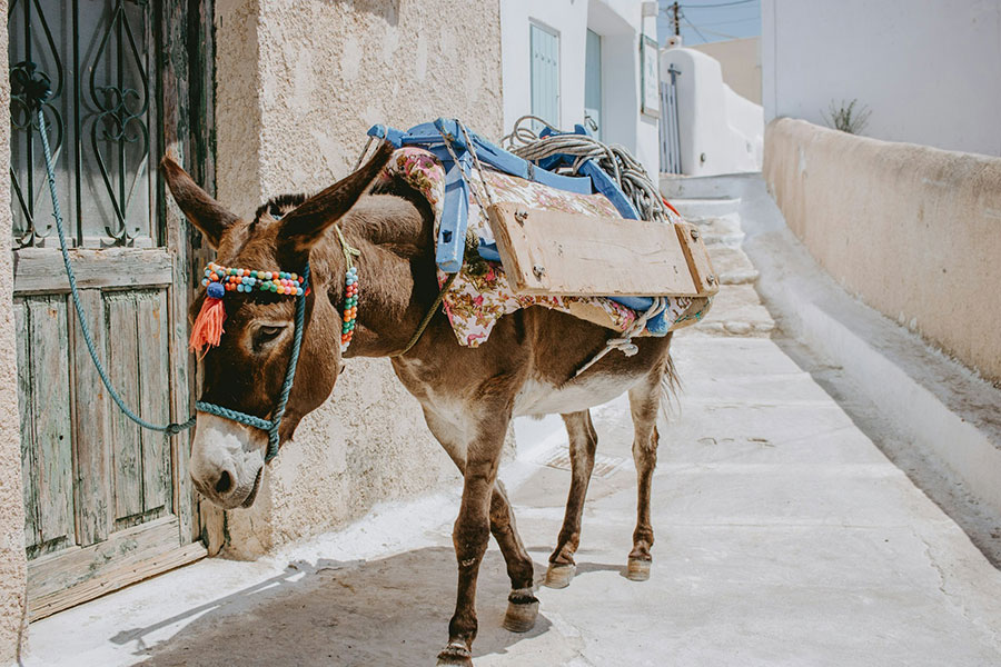 Pyrgos