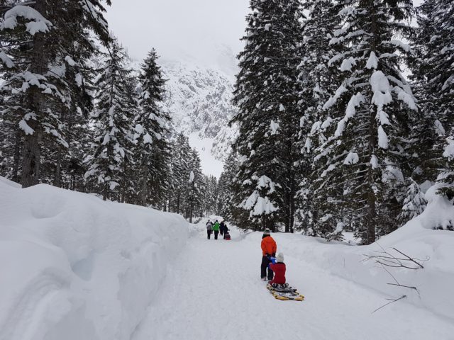 children sledding