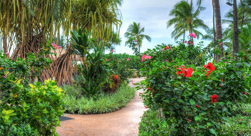 Kauai