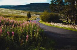 Planning a UK Family Road Trip | Scenic Drive | A family road trip is one of the best ways to explore the UK. Whether you want to explore the...