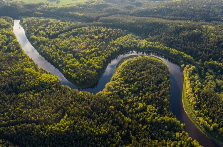 Amazon River | Best river holidays | best river tours