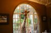 Giraffe Manor The Safari Collection