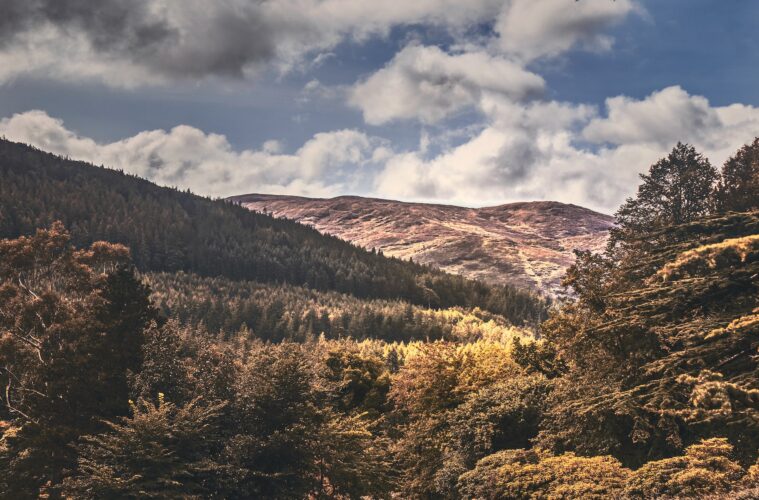 tollymore national park Northern Ireland - Game of thrones filming locations