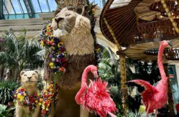 What to Do in Las Vegas If You Don’t Gamble