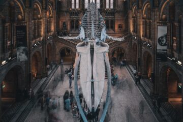 Best Free Things to do in London - Museum