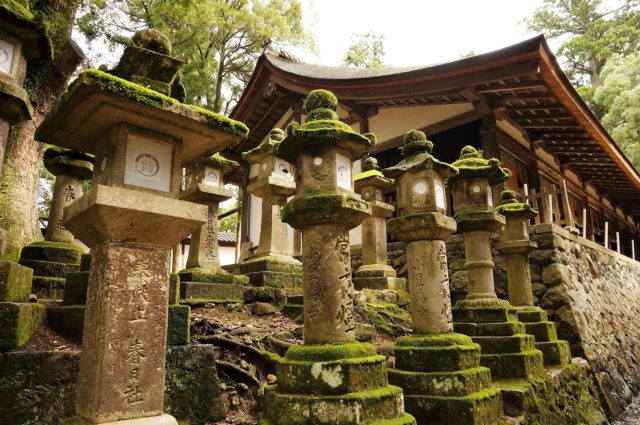 Kasuga Taisha shrine