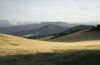 green hills in Spain during daytime Best Camino Routes for Nature Lovers: Where to Find the Most Scenic Trails
