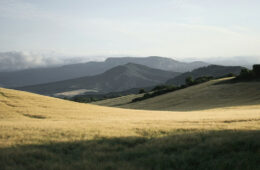 green hills in Spain during daytime Best Camino Routes for Nature Lovers: Where to Find the Most Scenic Trails
