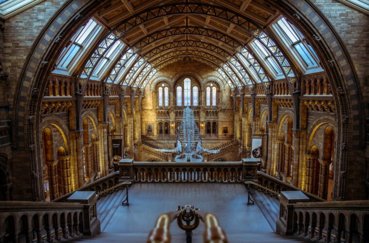 Free Entry Museums in London