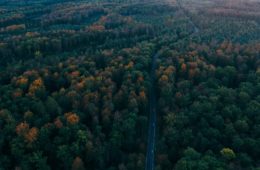 Black Forest Germany