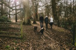 Winter walks explore UK Kielder Water and Forest Park