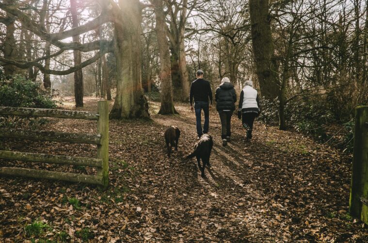 Winter walks explore UK Kielder Water and Forest Park