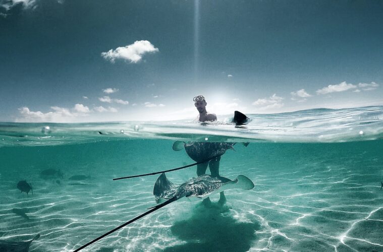 Stingray City in Grand Cayman