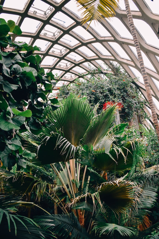 denver botanic gardens