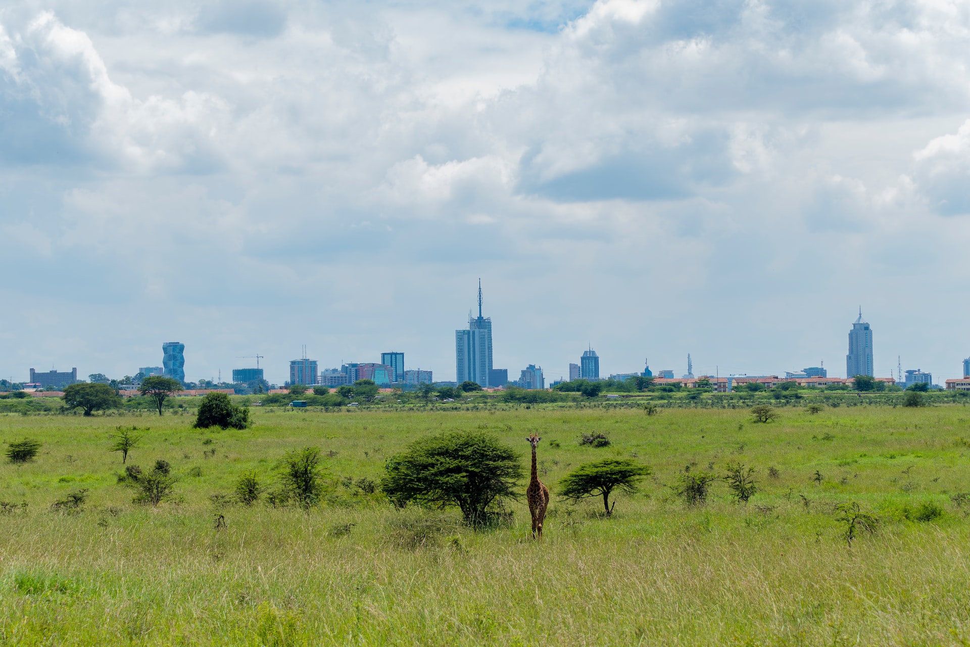 Nairobi | Giraffe Manor and The Safari Collection