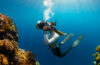 scuba diving destinations