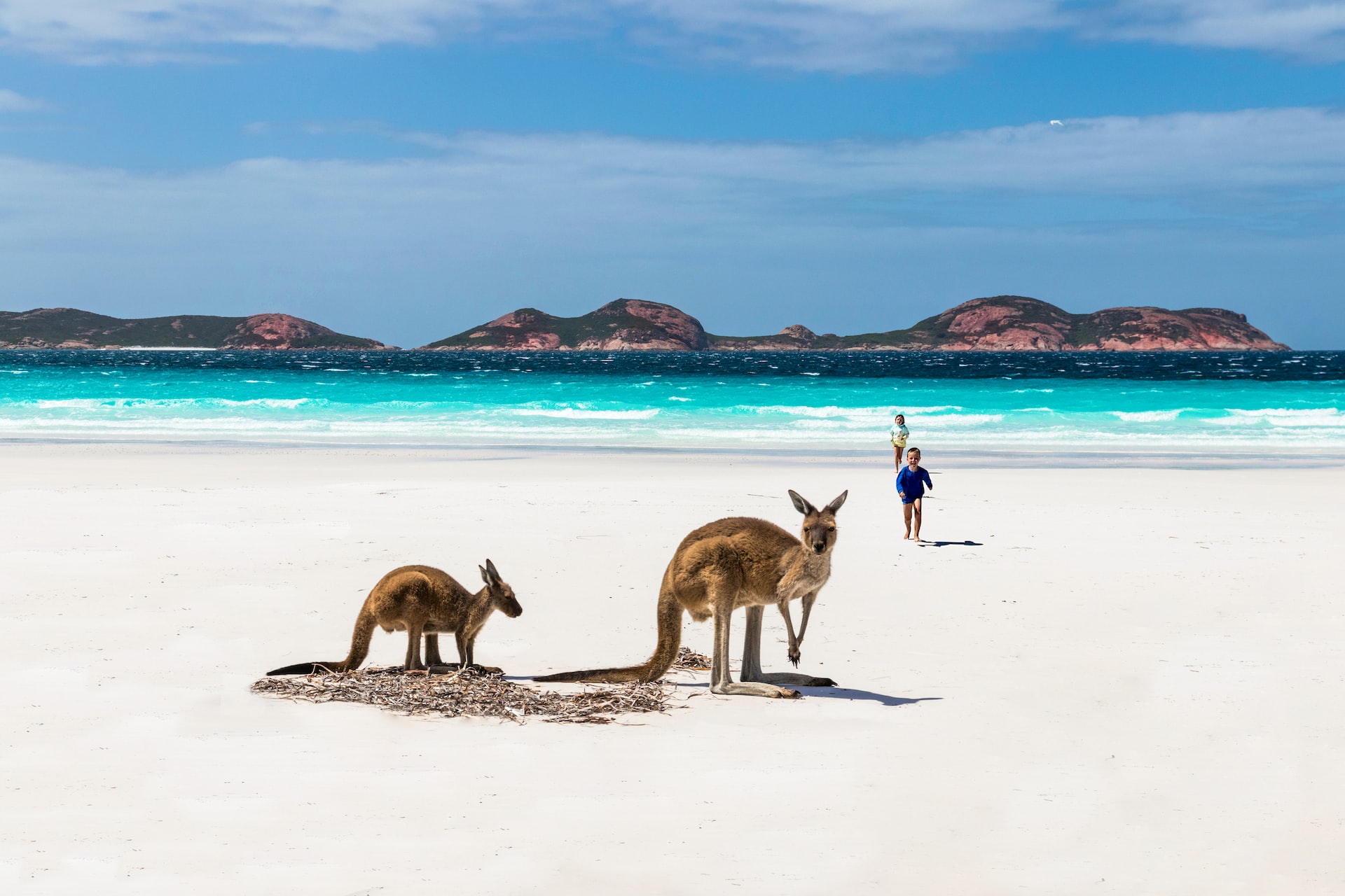 Off The Beaten Track: Your Guide To Exploring Kangaroo Island Solo