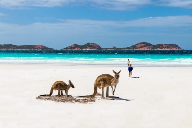 Lucky Bay Esperance