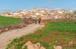 Preparing for a Camino de Santiago: Top Tips walking the camino