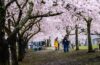 Best Places to Visit in Portland: A Guide to the Rose City's Hidden Gems