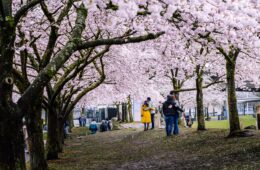 Best Places to Visit in Portland: A Guide to the Rose City's Hidden Gems