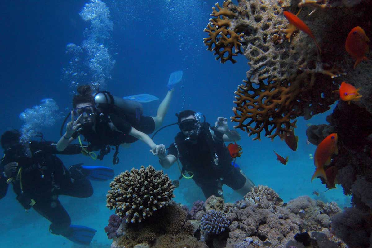 How to Set Up a Dive School on the Canary Islands