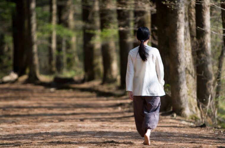 Exotic Travel Experiences for Wellness Retreats: A Complete Immersion bwiti house