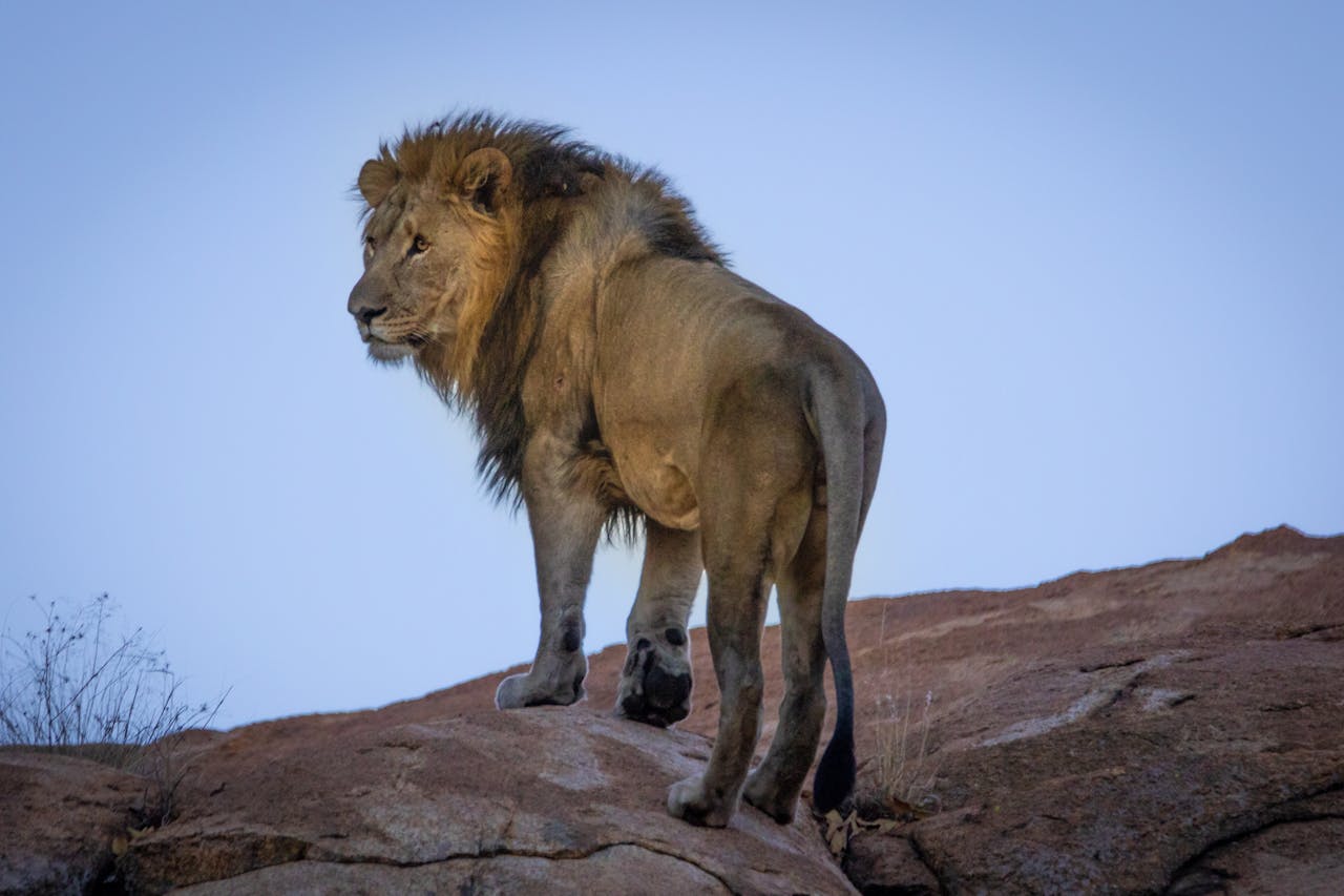 South Africa