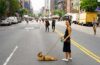 Travel Tips for Small Dog Owners