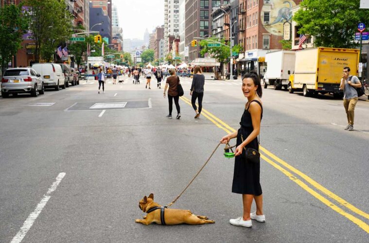 Travel Tips for Small Dog Owners