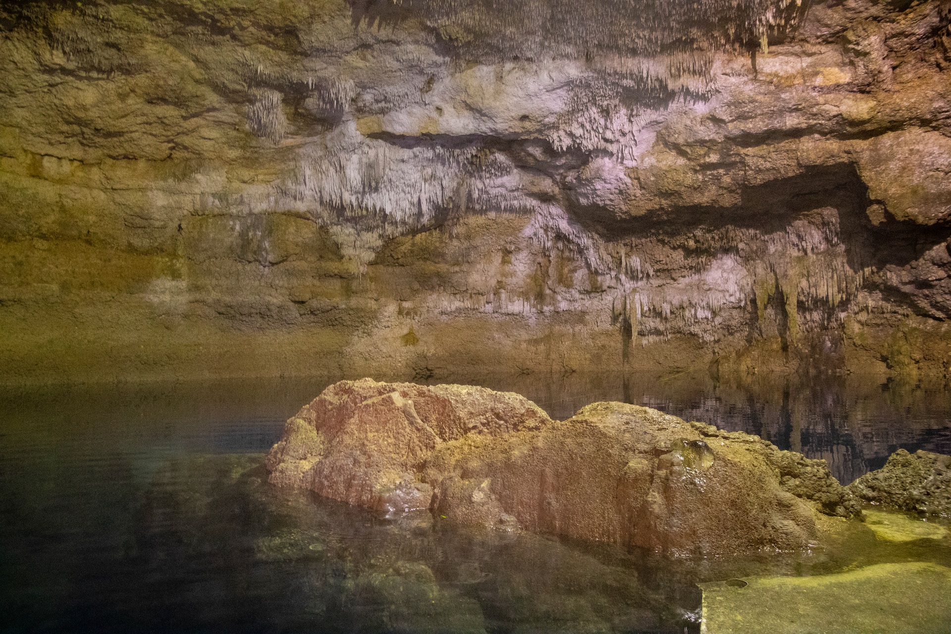 Cenotes of Mexico - natural swimming hole
