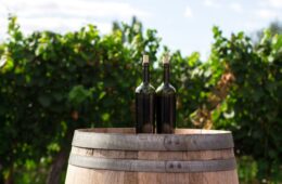 Wine and Dine: Vineyard Tours and Wine Tasting in France