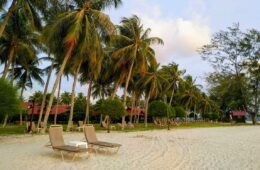 Asian Odyssey: Discover the Wonders of Malaysia, Singapore, and Vietnam | Langkawi Kedah Roro Ferry
